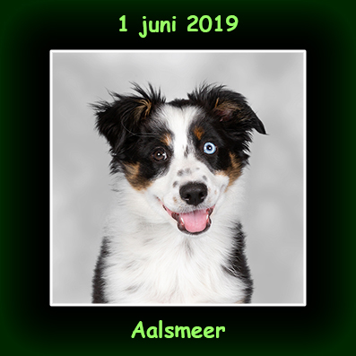 1 juni 2019