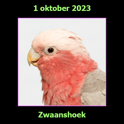 1 oktober 2023