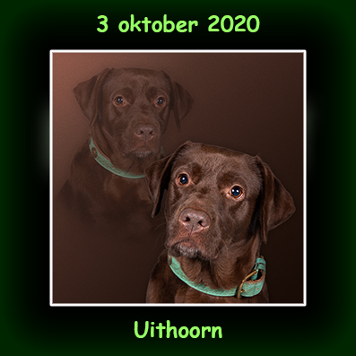 3 oktober 2020