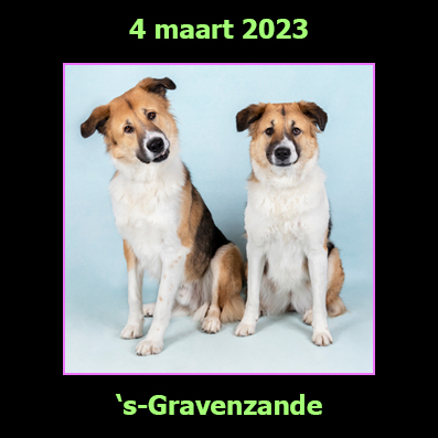 4 maart 2023