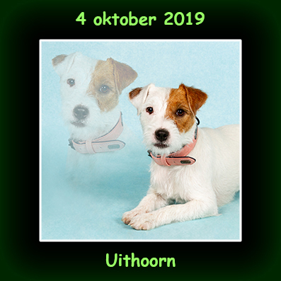 4 oktober 2019