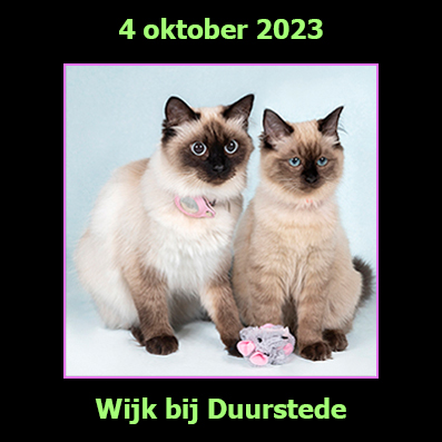 4 oktober 2023