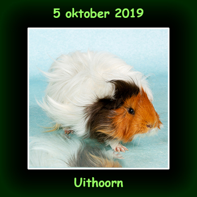 5 oktober 2019