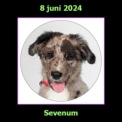8 juni 2024
