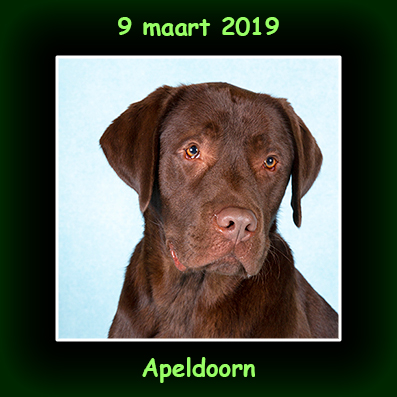 9 maart 2019