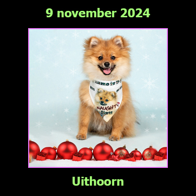 9 november 2024