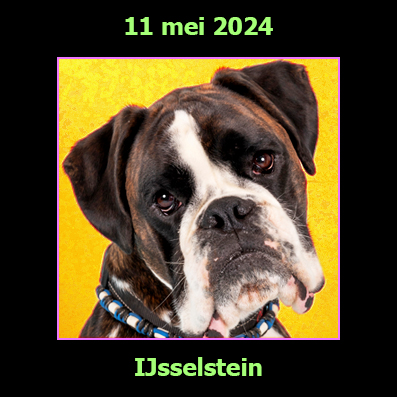 11 mei 2024