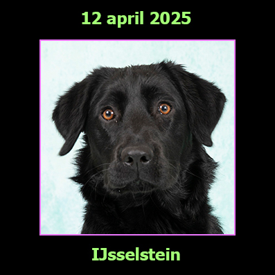 12 april 2025