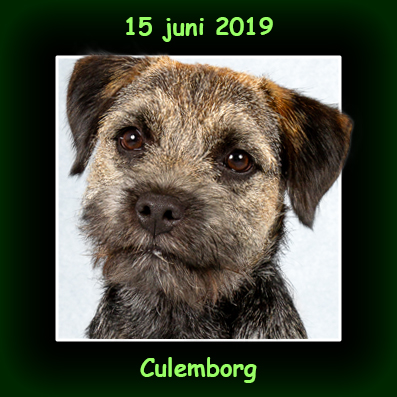 15 juni 2019