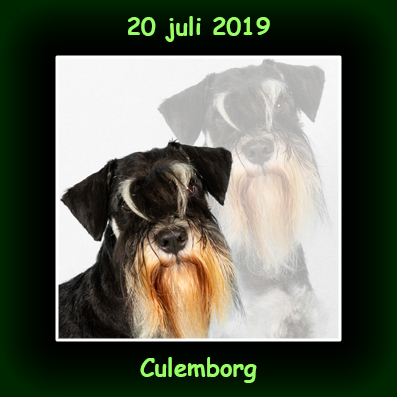 20 juli 2019