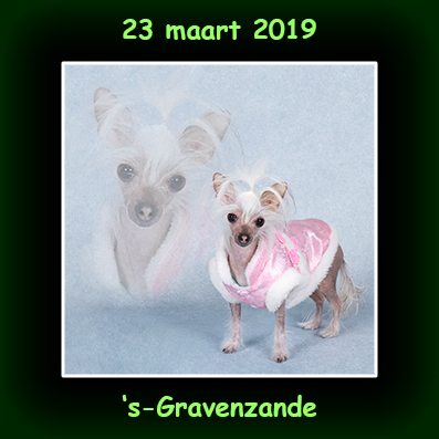 23 maart 2019