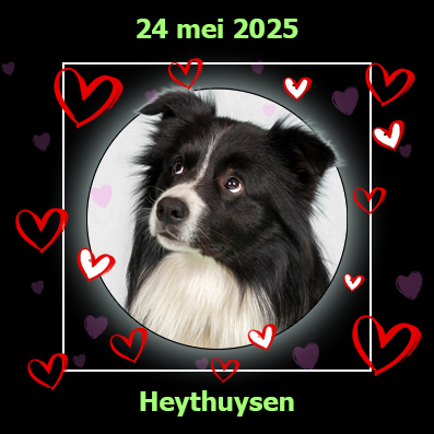 24 mei 2025