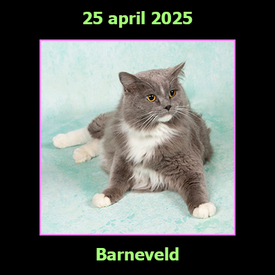 25 april 2025