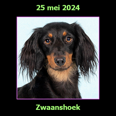25 mei 2024
