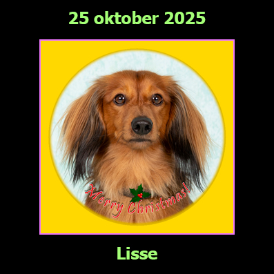 25 oktober 2025