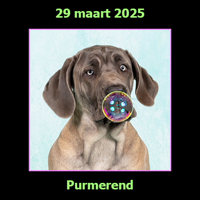 29 maart 2025