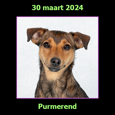 30 maart 2024