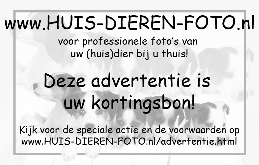 Advertentie Meerbode
