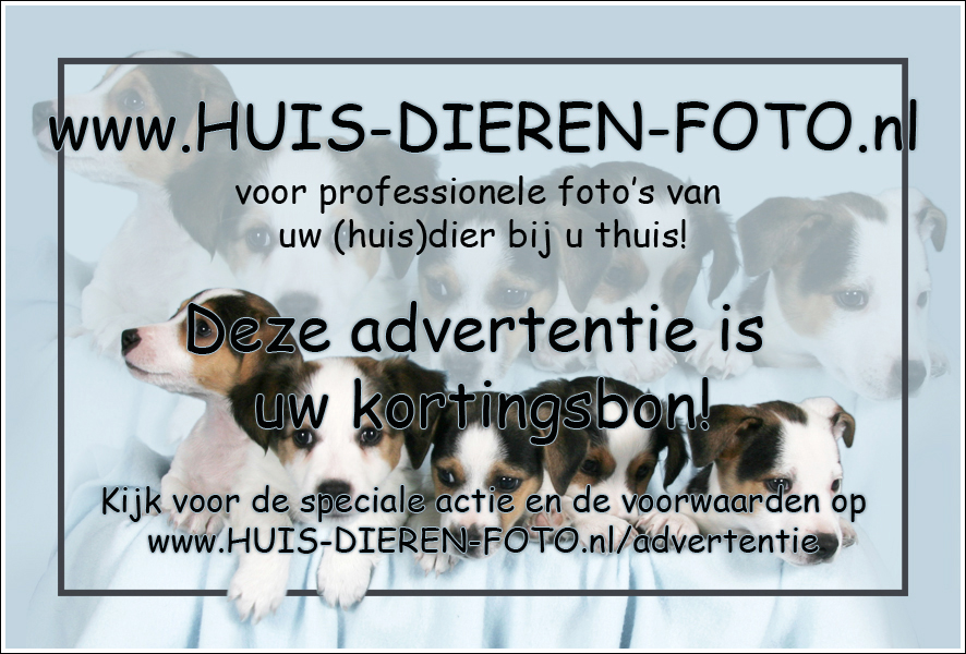 Advertentie Het Journaal