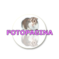 FOTOPAGINA