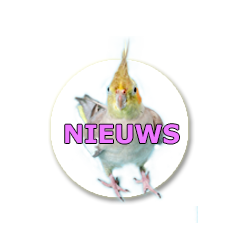 NIEUWS