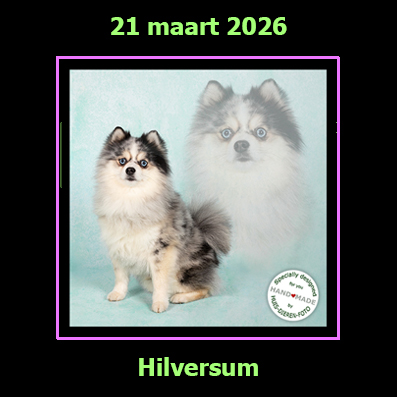 21 maart 2026